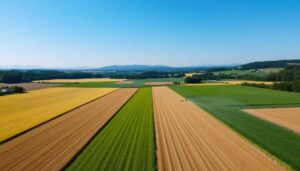 Pflanzenschutz: Wo Landwirte global die giftigsten Wirkstoffe versprühen